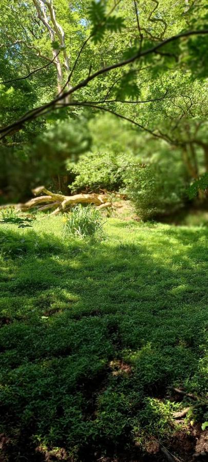 'T Uiltje Villa Ermelo Kültér fotó