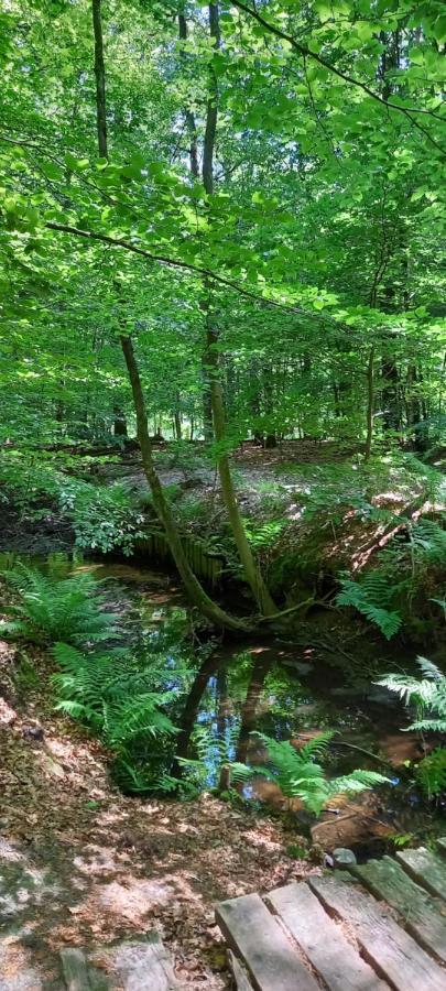 'T Uiltje Villa Ermelo Kültér fotó
