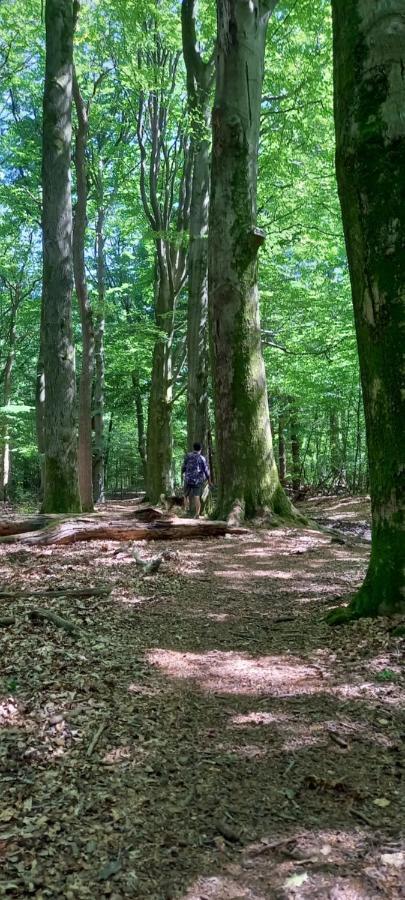 'T Uiltje Villa Ermelo Kültér fotó