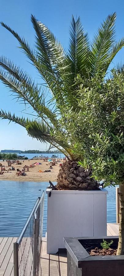 'T Uiltje Villa Ermelo Kültér fotó
